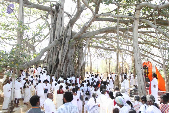 20160227 Photo 1049 1qyfa SVl OxQUrtgosloEcML4jZfUeaT.JPG