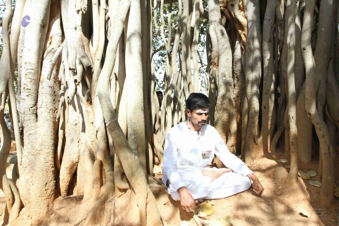 20160227 Photo 208 1bF2KWNfoCwHUPpI3sHEOiNhcae8eCbuF.jpg