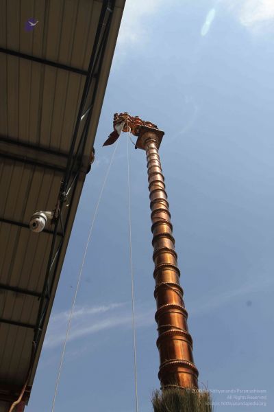 File:20160301 Photo 101 1aHAf-wFJy5c3zfSCxDZTqDjpcc3EDqK5.jpg