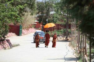 20160301 Photo 130 1vE-C4YG0ym02RB6VlcfAnFo1OdUNeBiW.jpg