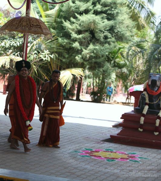 File:20160301 Photo 150 1EP2L5oBGX9sdhIO3 pJ2Cfmw7-XIrDPR.jpg