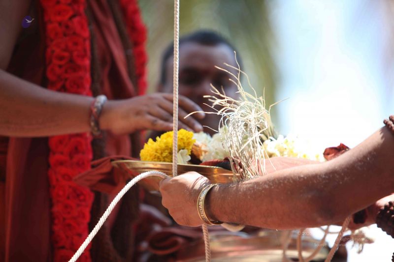 File:20160301 Photo 188 1v8T LnuIp82YsMNjFvG935BeUds2dDLo.jpg