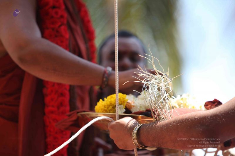 File:20160301 Photo 189 19pHmw5sn-GsQxKTdXW q9b2DzPvDxnt5.jpg