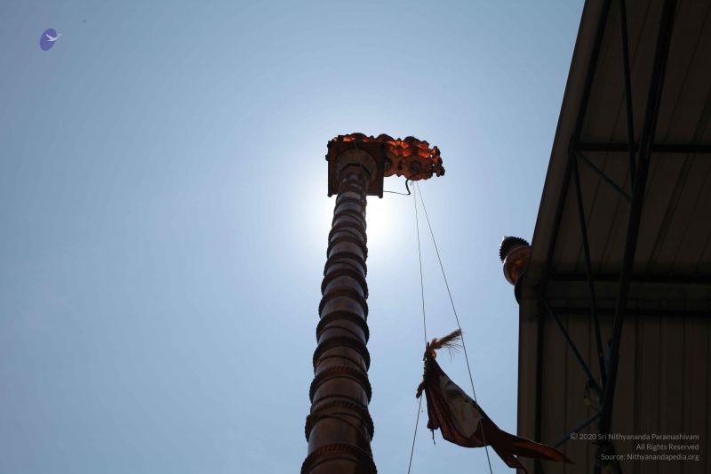 File:20160301 Photo 209 1xPwlWmiVWmaw6rU-8lmchlrDFQqW1QqO.jpg