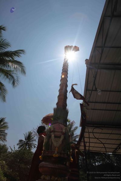 File:20160301 Photo 212 1scR6pCbvnY8YntjMYnNe89PY2EgShFKB.jpg