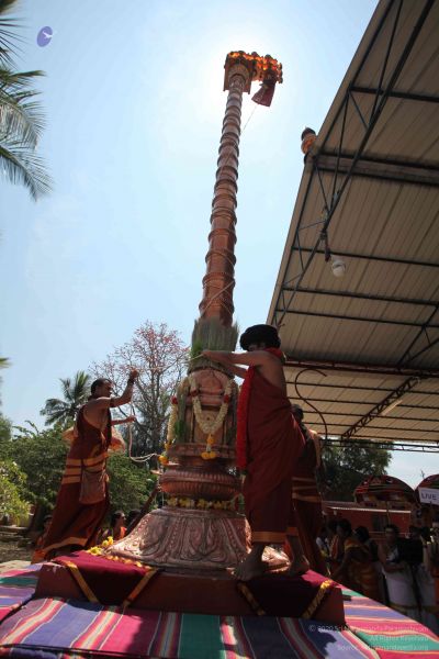 File:20160301 Photo 236 1fBEK8qQnzdPTTGFYuu66uKziZXwkoovY.jpg