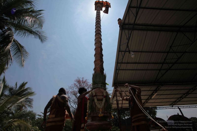 File:20160301 Photo 238 1WoOIAloeFWZE0v6vrWsc f83Jo8AD2hi.jpg