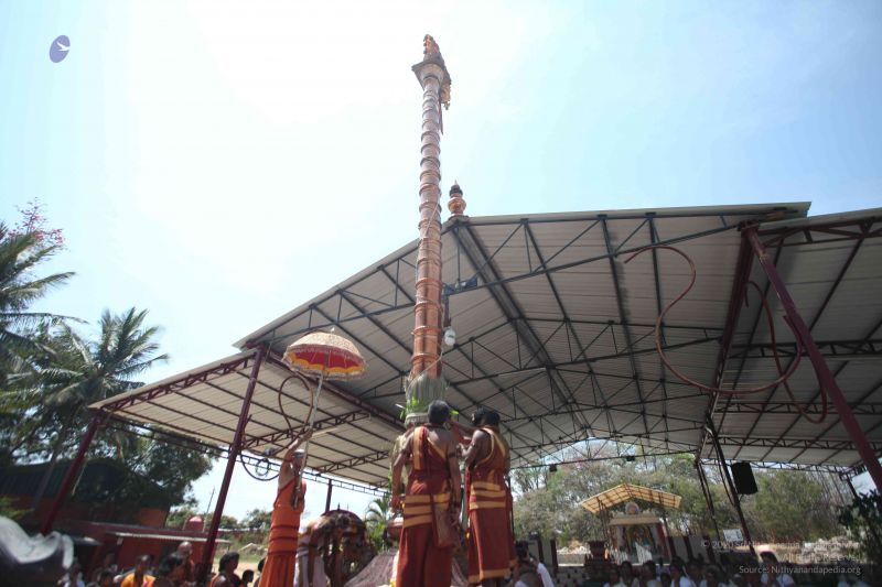 File:20160301 Photo 240 19vsJuL9z7PhrnGc4qJXASsOuiQBnaxfL.jpg