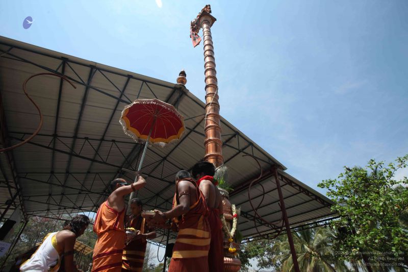 File:20160301 Photo 245 19RQj-n980VGnaITKIbk6fvSSPV3cFY7J.jpg