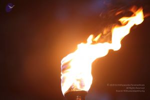 20160302 Photo 1002 12kNE4oklEvh-aw5KCNsK6Hd9FWtyndxf.JPG