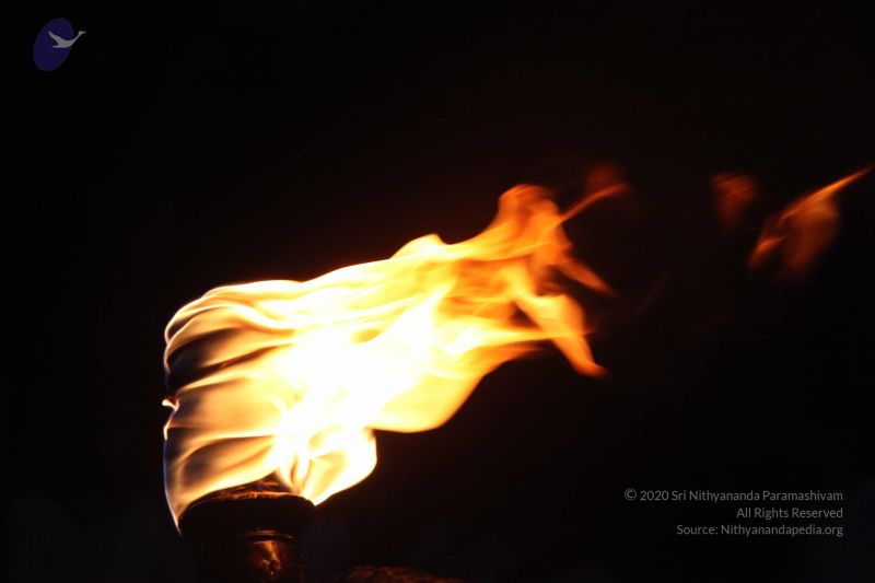 File:20160302 Photo 1003 10CDhEecbgOfW4HnCdVweDLKT5-VFrIOB.JPG