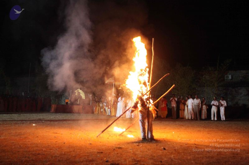 File:20160302 Photo 1096 1mST8v6x2gZ7W9Q1KaHmpPxhVEZi-uZLE.JPG