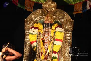 20160302 Photo 1123 1iFHyVq649ssfn02tL73wWHLwdADIWluv.JPG