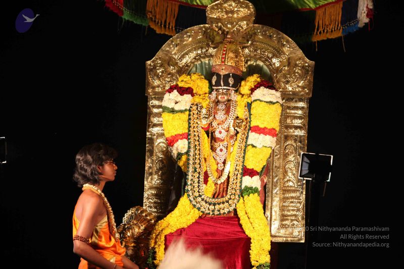 File:20160302 Photo 1124 1GdABazMVMNMM9OkvNl690pKFQp-oAvOO.JPG