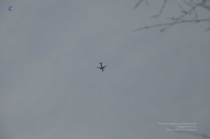 File:20160302 Photo 323 15SnNS1Dw0DhOVh5xIrDp7JDA BKE7G0V.jpg