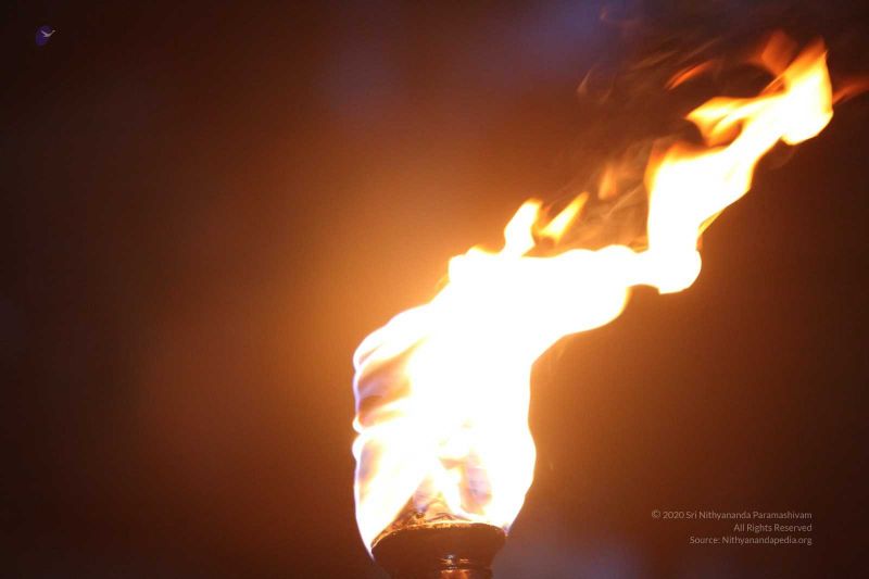 File:20160302 Photo 331 10q19R FzKXz2gGe9Dw5KpZ6XEW9FlUBJ.jpg