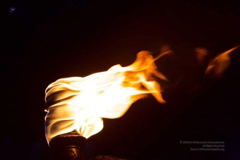 File:20160302 Photo 334 1V7oF1oE12ABTh2pTskismPSocg e4UCK.jpg