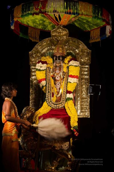 File:20160302 Photo 694 1pGy8WGDh7KvfLteq9Cp-0QvYaVq MSBW.jpg