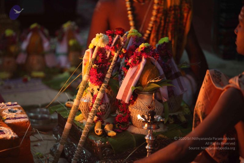 File:20160306 Photo 1143 1dF4h JV33sAPXRP656s--daHlpJxWDuW.JPG