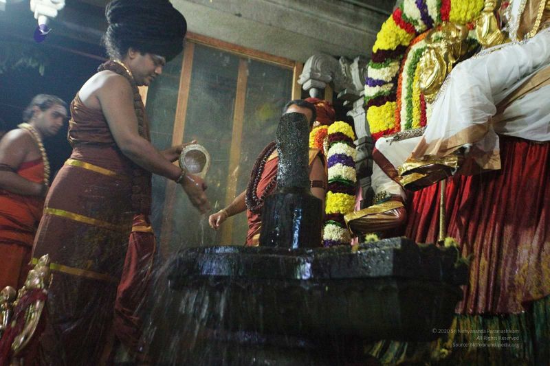 File:20160307 Photo 1002 1p6z3HBJYGgp5h7eIqxETqSuhSuVdLEOT.jpg