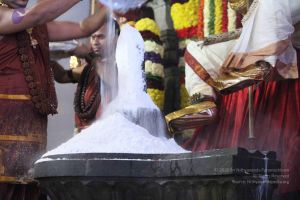 20160307 Photo 2791 1aWbFJl8eR3tFbHea6Y8cNLLXkLGPfJuB.JPG