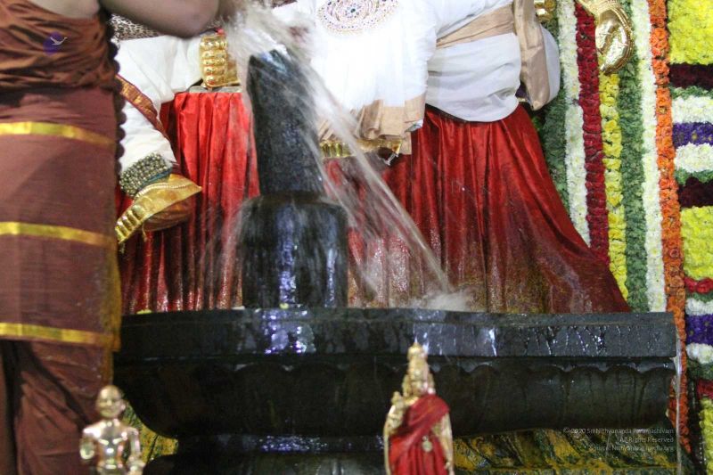 File:20160307 Photo 723 1OAULvc9o4H7iFUzOzxb2wlza2iizqpBJ.jpg