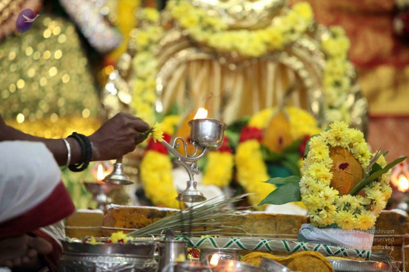 File:20160327 Photo 1241 1t9IvphgBmdELdBHKFltkDIG8PaJyZbQm.JPG