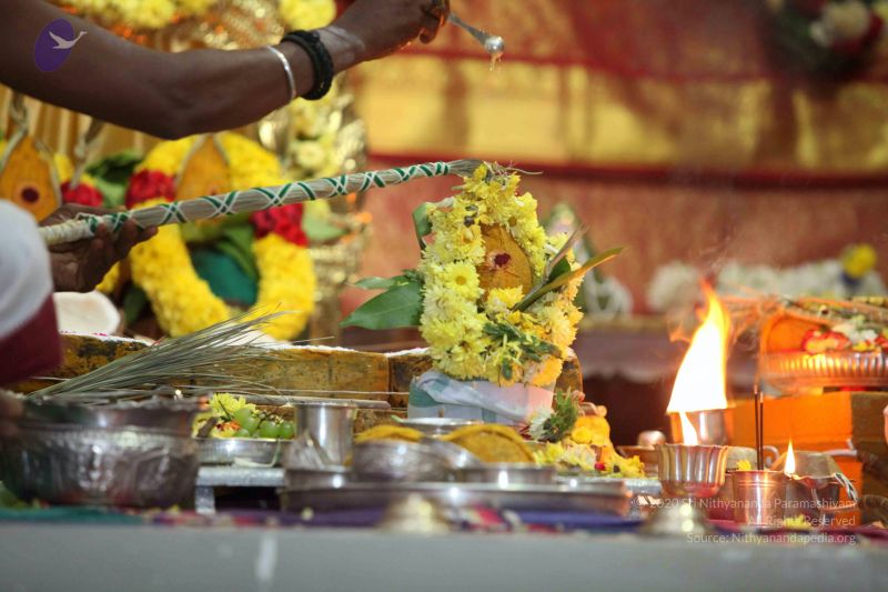 File:20160327 Photo 1251 10MzQd wXfIt oiMeWSVqFCvCOyncVbWi.JPG