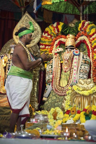 File:20160327 Photo 1265 1zFhVC8Q3CyjzF6qcysM59Da5zsBHFMvx.JPG