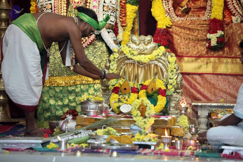 File:20160327 Photo 1270 1IzGPmjlmpAFYzKX3g0S5oUuRau0sd6G3.JPG