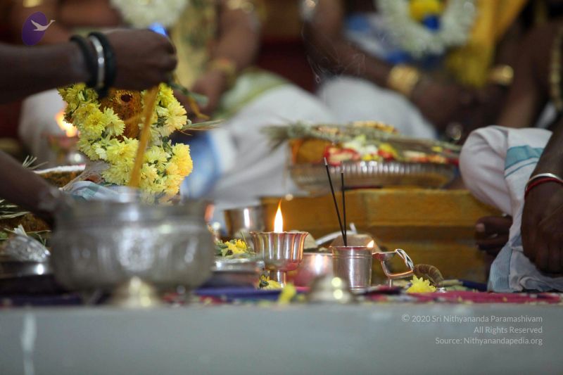 File:20160327 Photo 1278 1zPLjekGkU JnI3wDslIW2cOGl45t9Scz.JPG