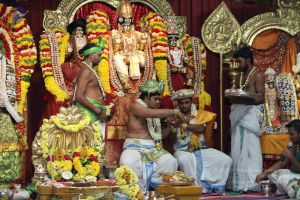 20160327 Photo 1289 1RoTW5zMdu3E5-rsHXt9oaUc3uPrzRzKJ.JPG