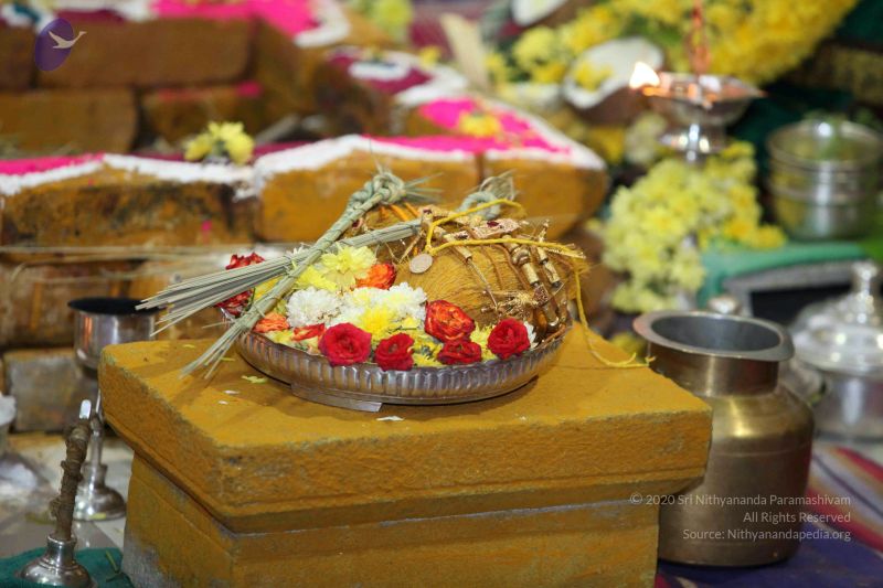 File:20160327 Photo 1300 1HWuJpvwy0yVmMz15r0ixR0Ih8FkahTHJ.JPG