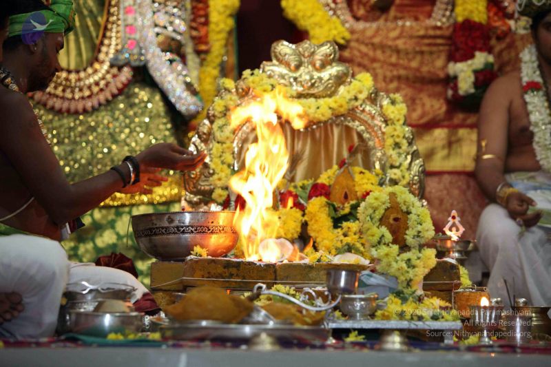 File:20160327 Photo 1314 1wYFLyulT1cLdeHU1WulBwAenaD1OCBXo.JPG