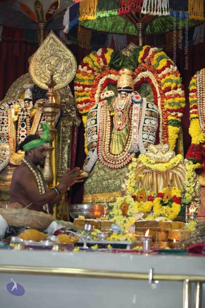 File:20160327 Photo 1322 1mQ90QBIh5RNMRJkWOfNlDNhqteUrReky.JPG