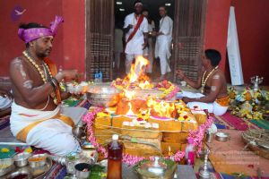 20160328 Photo 1035 1kZ511egy1iGfjGUDslGEHAkpE2ypJF9V.JPG