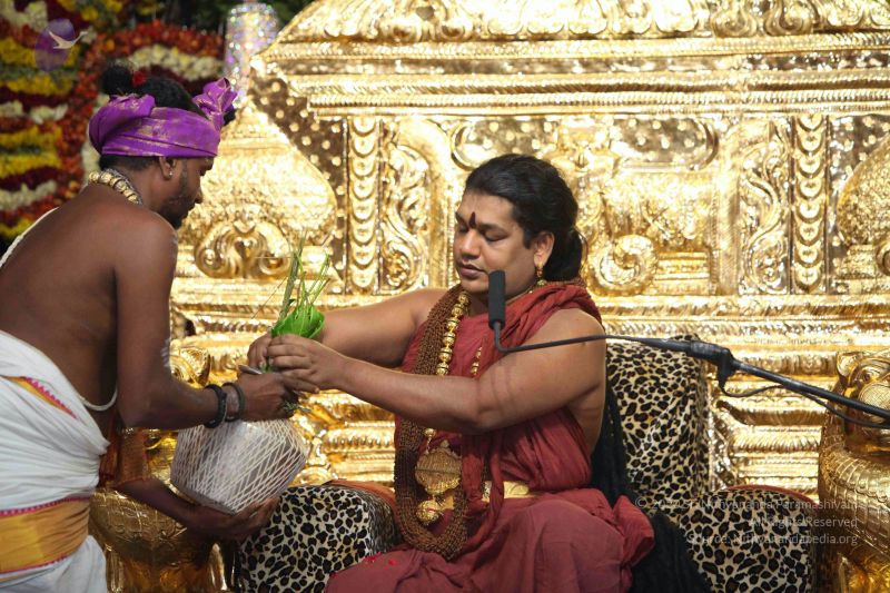 File:20160328 Photo 1065 1Vf~ub6dnGNOT4IZjes7ucO1MZt3tkxJ.JPG