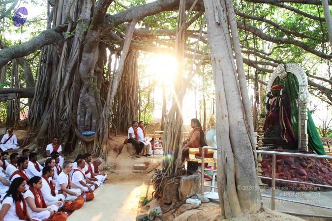 20160403 Photo 1014 1g19 YS AnnkEMSR2JGuKGvG 1VgbXNYS.JPG