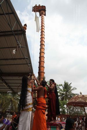 20160410 Photo 1042 1NlcFuvzE4lIE3HlCZeJQg kJM3PqnQf7.JPG