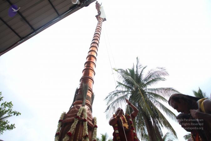 20160410 Photo 1066 1fQHre-XH5IpKCZm1Z41VTozBHv9yvqQZ.JPG