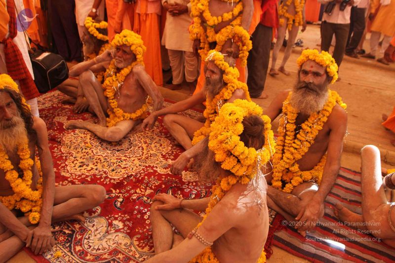 File:20160418 Photo 3571 1cDLg7-HjCWZT6KnlkWaalA fY5fw8oZ9.JPG