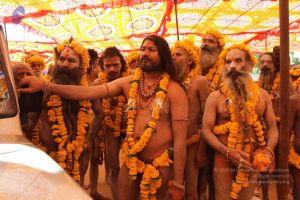 20160418 Photo 3580 1iJj3AEGiI0YxWjN6L4ORZKuYwAbblz0h.JPG