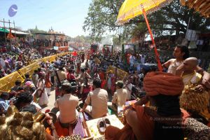 20160422 Photo 1855 14Jd7rHocfvfwsWKwnbMLYmTQj0fbQtQ1.JPG