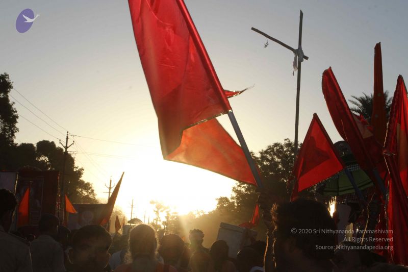 File:20160422 Photo 2748 1oiYFAw6EujHZP2lFxuokX429SKVrQbn4.JPG