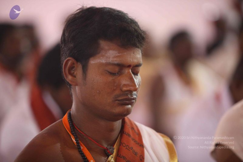 File:20160423 2493 CMP WM.jpg