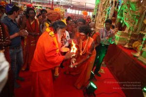 20160423 2870 CMP WM.jpg