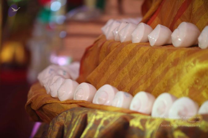 20160427 Photo 1536 1G4clBfb5S0jdwvCr-BrgTJYOeMxB9GCL.JPG