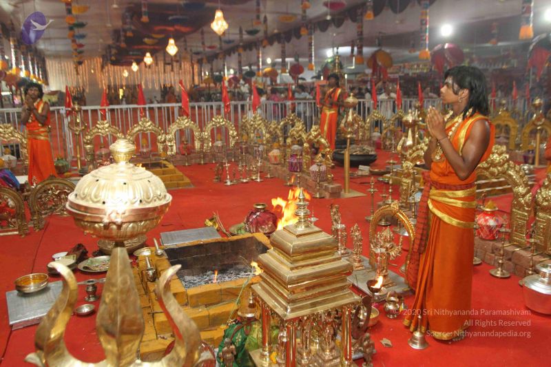 File:20160504 Photo 1205 18d5YM LYkq5VHRTWJZ10OHytqISMBRwM.JPG