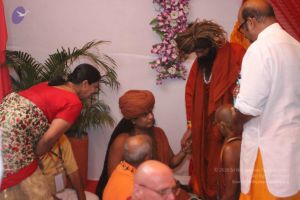 20160506 more 0644 CMP WM.jpg