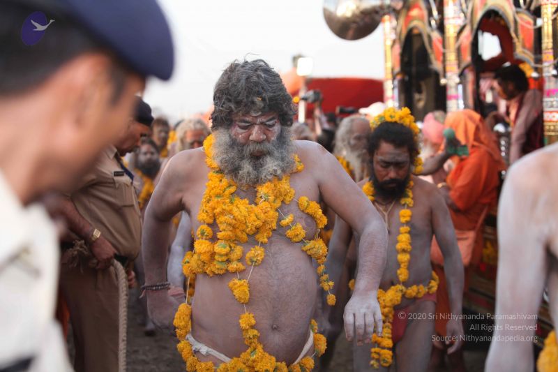 File:20160509 Photo 1140 1qSTSMoG-BKRz76J7xJ-py20CZti9X7e6.JPG